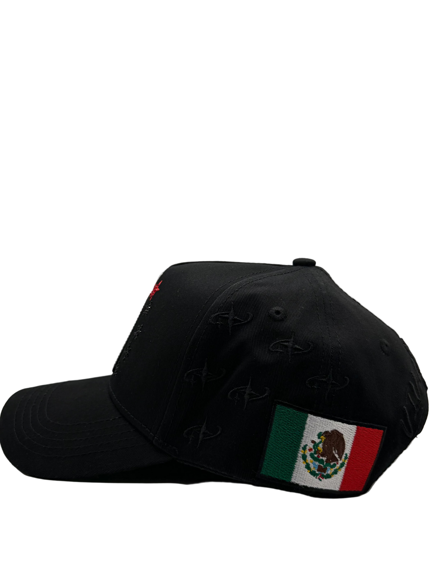 VIVA MEXICO WORLD CUP HAT